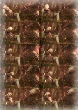 The Forest Of Pleasure Poster